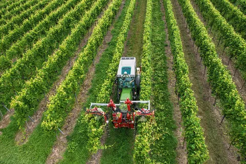 Fendt 200 V/F/P Vario im Einsatz