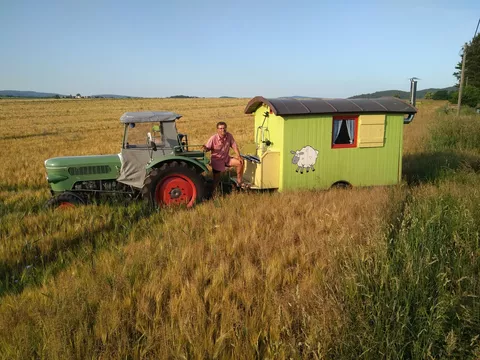 Ein Fendt (mit Bett) im Kornfeld. *