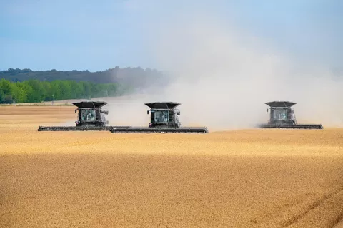 Drei Fendt Ideal Mähdrescher nebeneinander dreschen Weizen im Feld