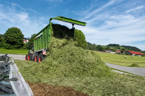 Fendt Tigo bei der Entladung des Grases im Silo mit Rundballen auf dem Feld im Hintergrund