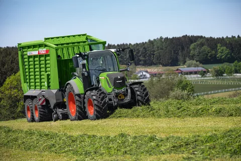 Fendt 300 Vario mit Fendt Tigo bei der Grünfutterernte