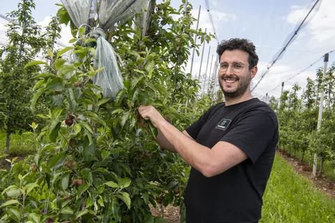 #TEAMFENDT Deniz Petrecca hilft auf der Apfelplantage