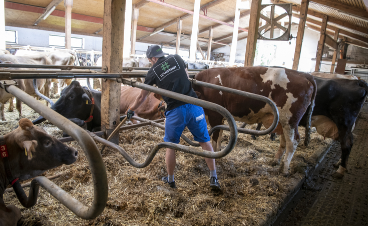 #TEAMFENDT auf dem Milchviehbetrieb beim Einstreuen der Liegeboxen