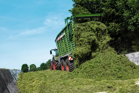 Ladewagen lädt im Futtersilo ab