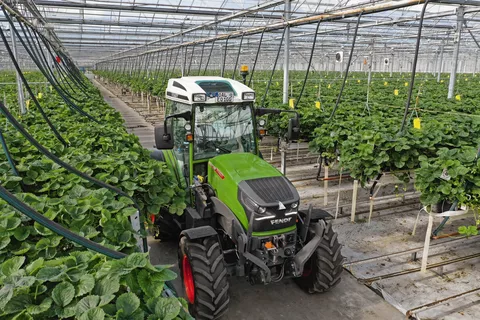 Der Fendt e100 Vario steht in einem Gewächshaus mit Erdbeerkulturen