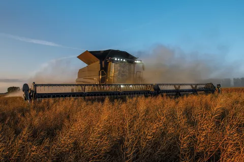 Fendt Ideal bei der Ernte von Raps bei Abenddämmerung