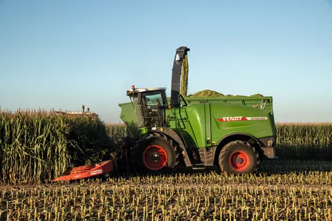 Fendt Katana häckselt Mais, Fendt Traktor mit Ladewagen im Hintergrund