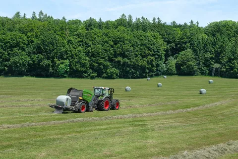 Grünfutterernte mit der Fendt Rotana Combi