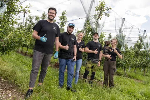 Einen Tag Apfelbäume ausdünnen als #TEAMFENDT