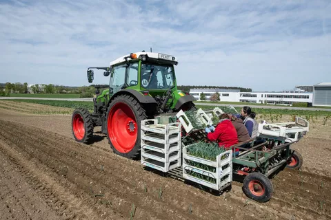 Ein Fendt e107 Vario mit einer Pflanzmaschine für Gemüse beladen mit Gemüsekisten und Pflanzerinnen hinten auf der Maschine