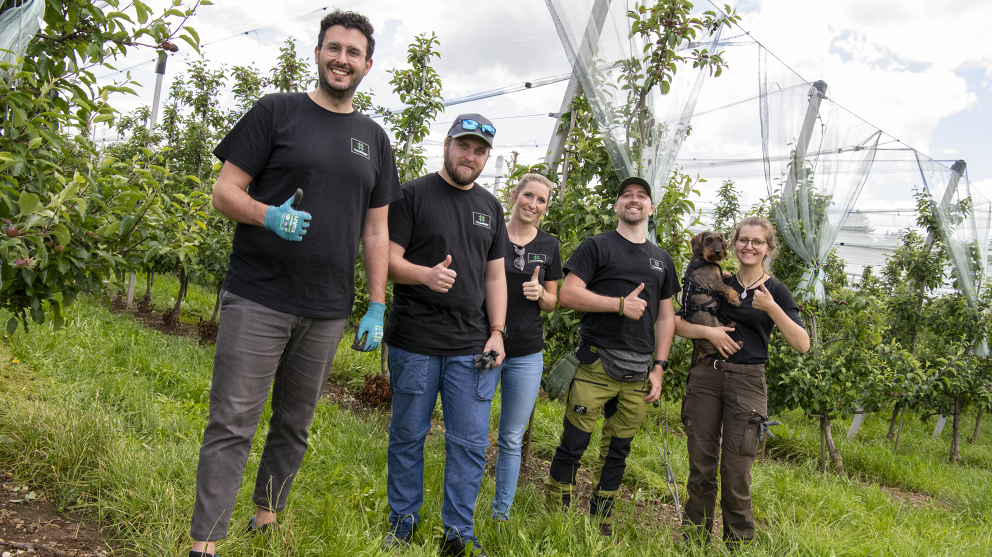 Einen Tag Apfelbäume ausdünnen als #TEAMFENDT