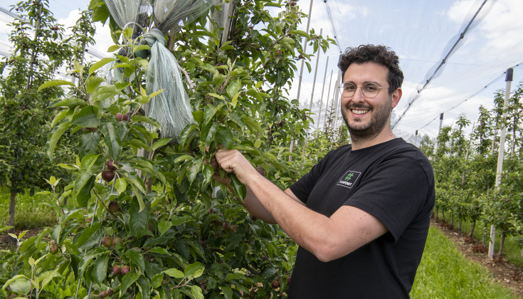 #TEAMFENDT Deniz Petrecca hilft auf der Apfelplantage