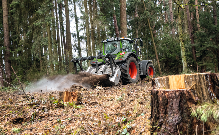 Ein Fendt 700 Vario Gen7 fräst in einem Nadelwald Baumstümpfe