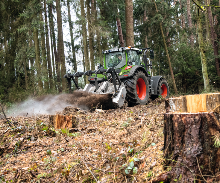 Ein Fendt 700 Vario Gen7 fräst in einem Nadelwald Baumstümpfe