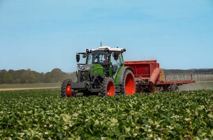 Fendt e107 Vario verteilt Stroh von einem Anhänger zwischen Reihen mit Erdbeerpflanzen