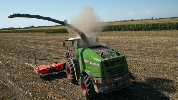 Ein Fendt Katana Feldhäcksler fährt auf einem Acker, um ihn herum wird Staub aufgewirbelt.