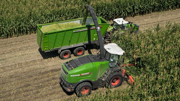 Ein Fendt Katana und ein Fendt Traktor mit Fendt Tigo Ladwagen fahren nebeneinander auf einem Maisfeld.