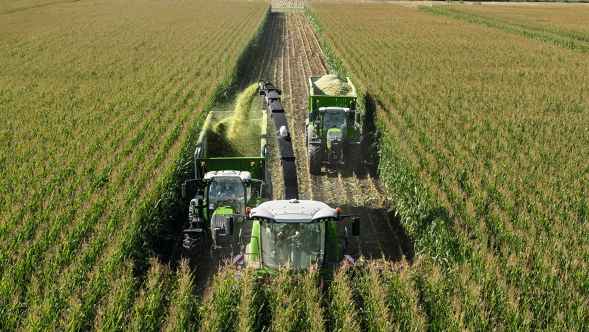 Ein fendt Katana beim Häckseln im Maisfeld. links und rechts je ein Fendt Traktor mit Fendt Tigo Ladewagen.