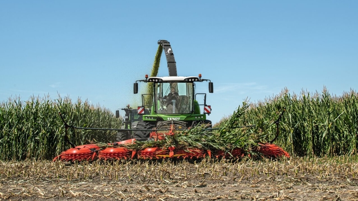 Ein Landwirt häckselt mit eine, Fendt Katana 850 Mais.