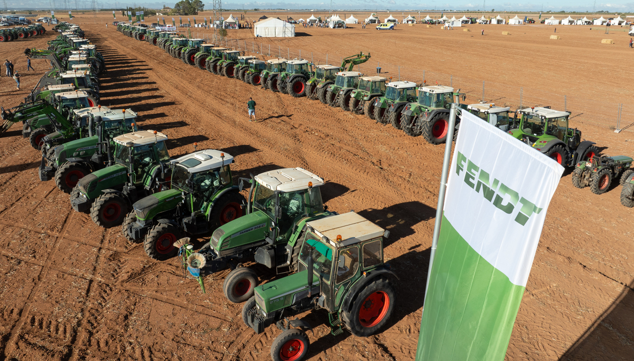 Ein Weg gesäumt von Fendt Traktoren verschiedner Baureihen und Alter beim Feldtag Fendtgüinos 2024