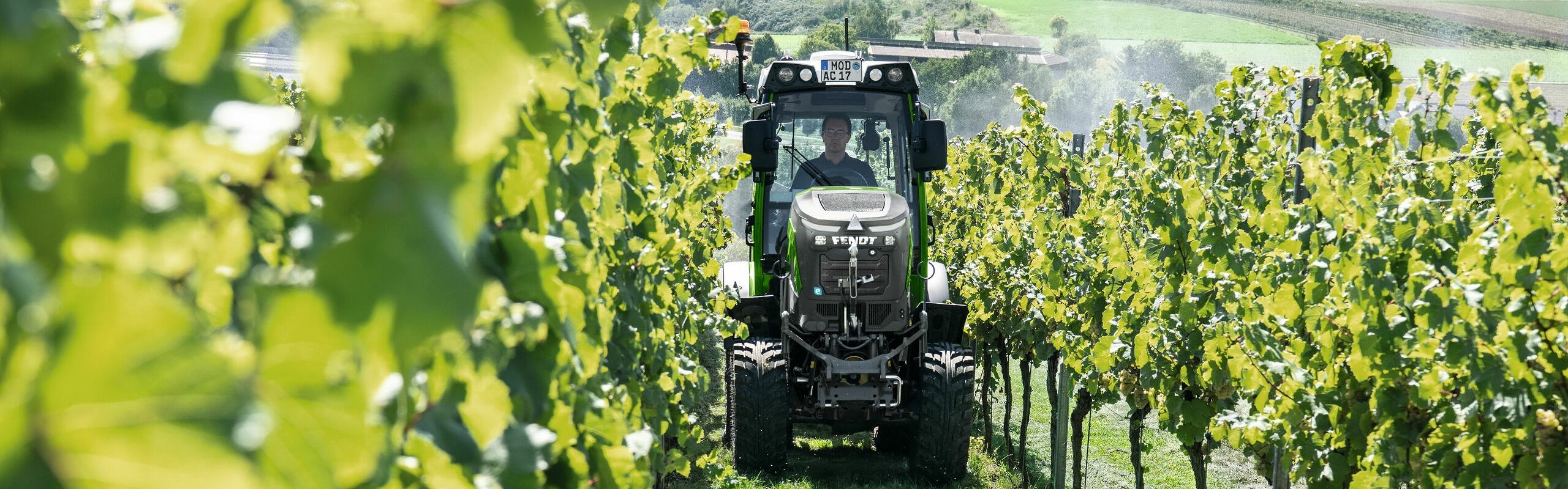 En Fendt e100 V Vario kører i en vinmark ved sommertid