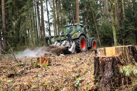 A Fendt 700 Vario Gen7 is  mulching tree stumps in a coniferous forest.