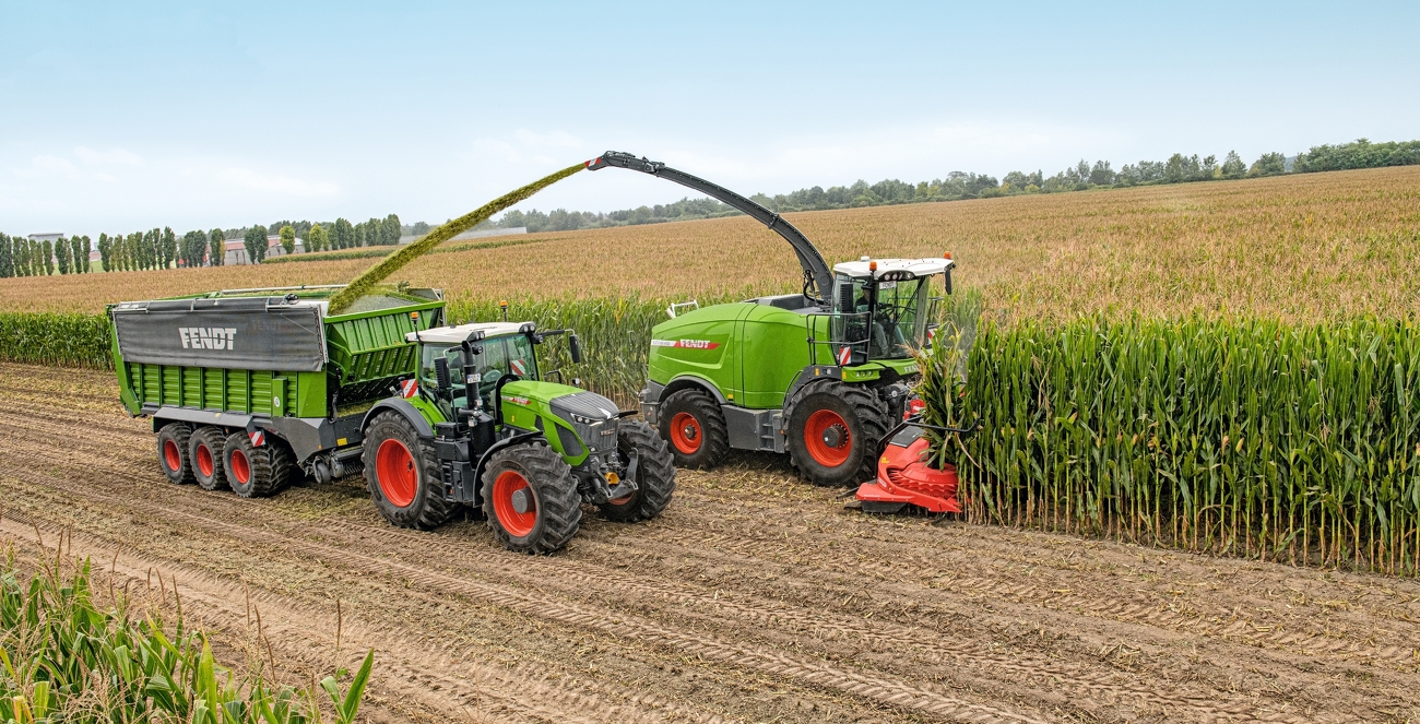 Fendt Katana silókombájn és Fendt 900 Vario traktor egy Fendt Tigo rendfelszedő pótkocsival a silókukorica szecskázása közben egy táblán.