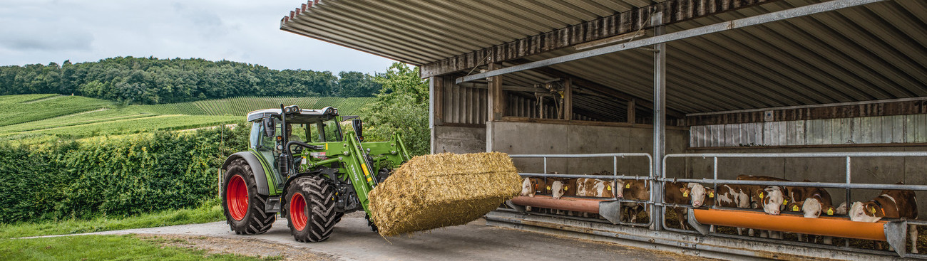 Fendt 200 Vario Fendt Cargo homlokrakodóval, szalmabálákkal egy tehénistálló előtt