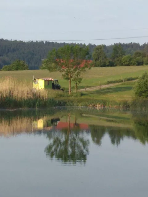 The perfect resting place: A small pond close to the Froschgrundsee near Coburg. *