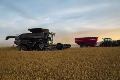 Combine harvester in action