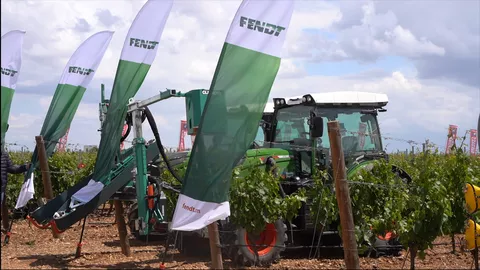 2 Fendt 210 P Vario tractors in use in the vineyard with a leaf stapler and a cultivator, Fendt flags at the end of the rows