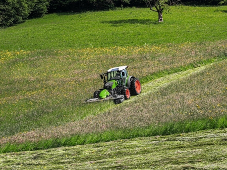 A Fendt 200 Vario can be seen in the distance on a green meadow in the Alpine area, bringing in the green forage harvest.