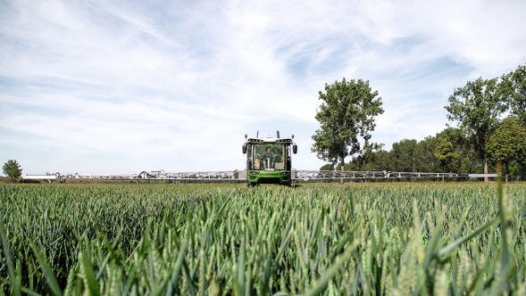 Fendt Rogator 600 labības laukā vasaras sākumā