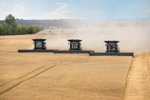 Combine harvester in action