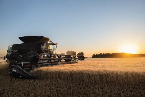 Combine harvester in action